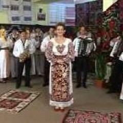 Mihaela Petrovici - Ai albit bage la tample