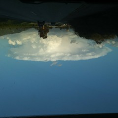 whats that auntie anne.wma