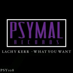 What You Want (Original Mix) #38 Minimal Charts [Psymal Records]