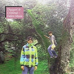 Digigurl & Criminal - Fallen Moon