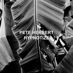 PETE HERBERT - HYPNOTIZE