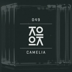 Lokocast | 049 : Camelia