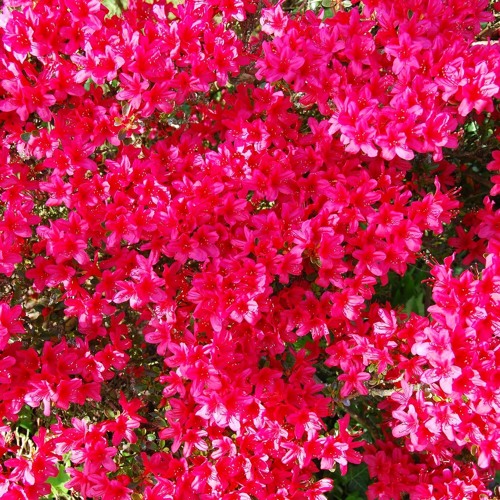 Encore un peu de moi