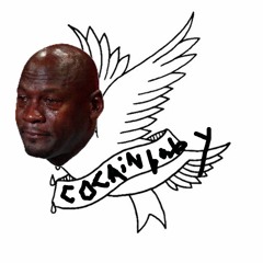 WHY U ALWAYS LIEEE TO MEEEEEEEEE /w pk fire x cookiemane