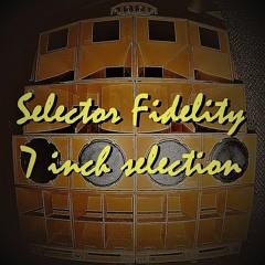 Selector Fidelity - 7 inch selection