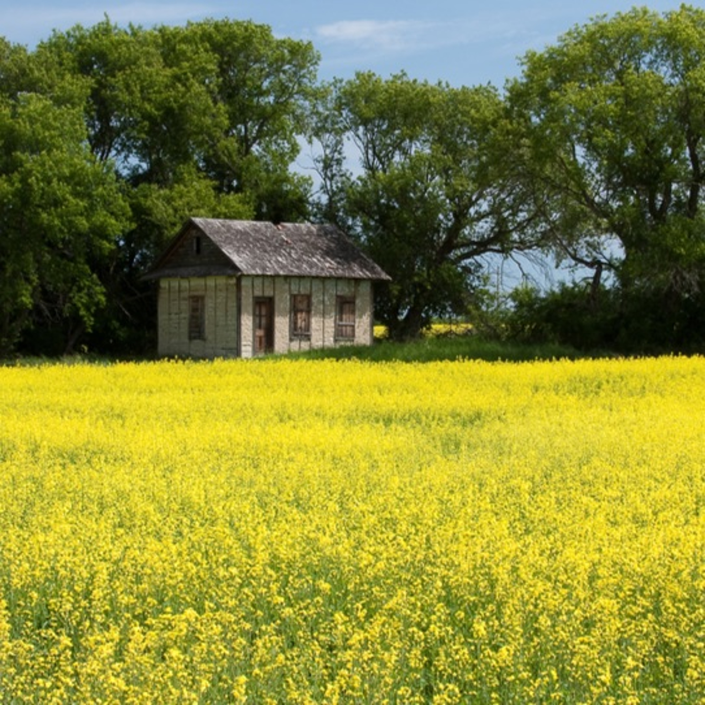 Roadtrips Retracing The Laura Ingalls Wilder Books