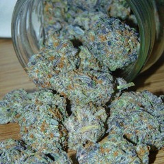 TORNADO X SHADOW ON THE BEAT - CHOCOLATE MINT OG FREESTYLE