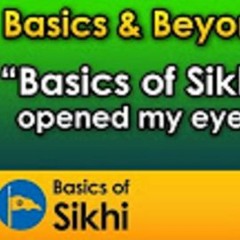 Basics Of Sikhi Opened My Eyes @ Basics & Beyond UK Camp 2016 #6