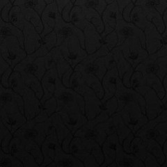 Eva's cover of Pretty Woman (sexist covers)