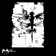 LDR 217 Andrea Giuliani, Luca Rossetti, Max Bear - Processing (Original Mix) preview