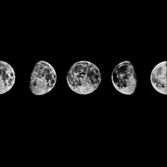 Moonlight Melody