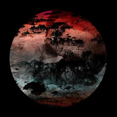 Repeated Fresh Collapse