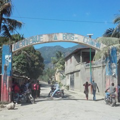 Bois-Caïman, une mémoire collective mise à rude épreuve !