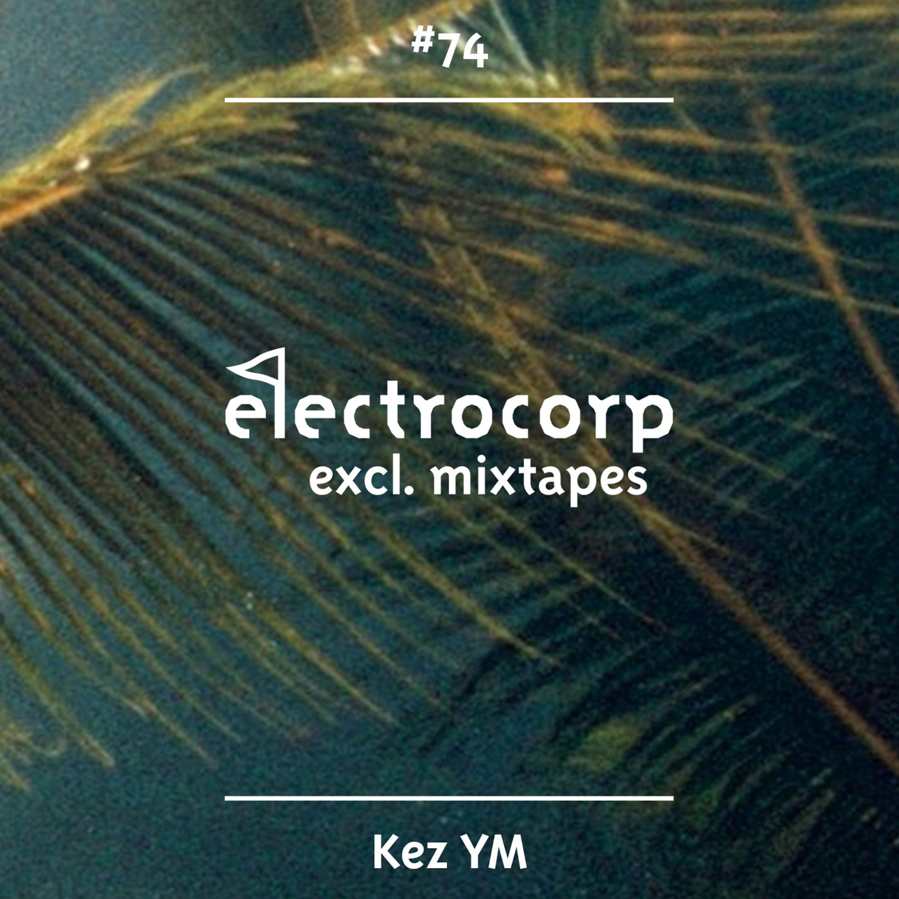 Electrocorp Mixtapes