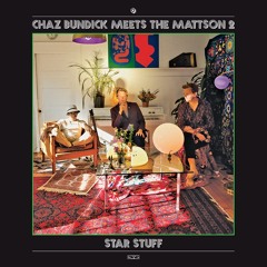 Chaz Bundick Meets The Mattson 2 - Steve Pink