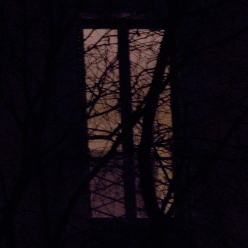 MENTAL NOISE