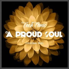 TechTonic-A Proud Soul(Original_Mix)