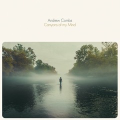 Andrew Combs - Rose Colored Blues