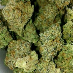 Skriller just fucking a round