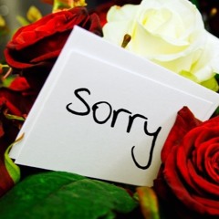 Sorry Seems To Be The Hardest Word