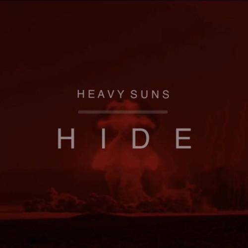 Hide