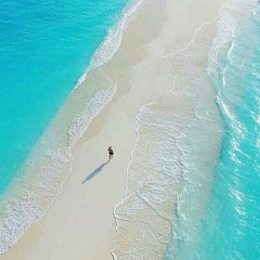 بتسالينى _وائل جسار ٢٠١٧