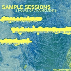 Sample Sessions 004