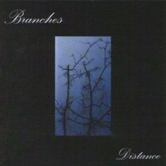 Branches - First Lights