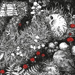 Урочище Можерь – Погребальным Горном В Холоде Ночей