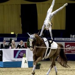 Anna Cavallaro Technical