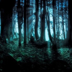 La Foret(2017 TECH MIX)