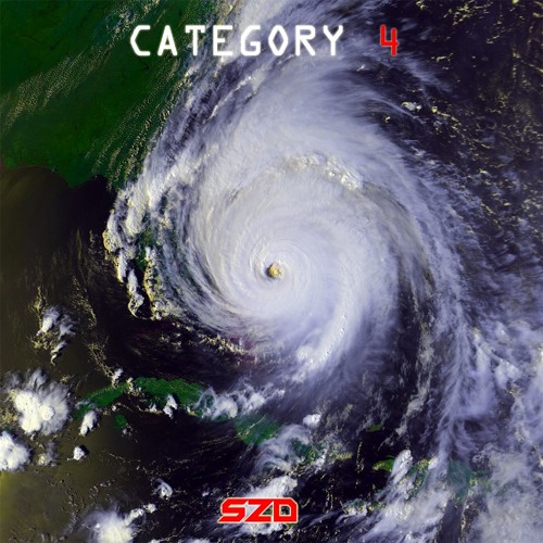 Category 4