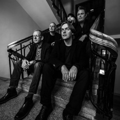 David The Black Star