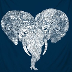 Never Gonna Be (Hunna Fling and Ty Cooke)