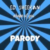 Download Shape Of You - Parody Shape Of You - Parody
