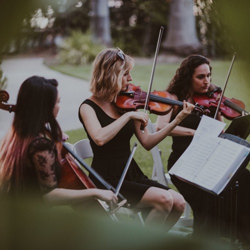 Spring from The Four Seasons (Vivaldi) - String Quartet