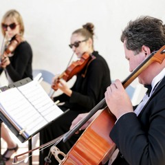 Viva La Vida (Coldplay) - String Quartet