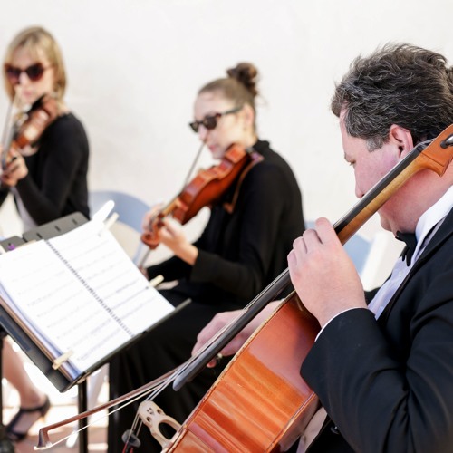 Viva La Vida (Coldplay) - String Quartet