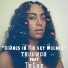 Haters Feat TheCiple