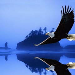 18 Oxala Meu Pai/ JG Novo Acordo/ Jose Rosa Work/ Feb 2017