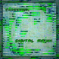 Trankwil - Digital Majik (Original Mix)