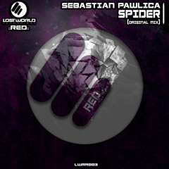 Sebastian Pawlica - Spider (Original Mix)