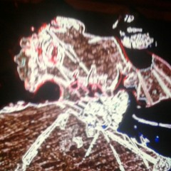 direxted by kemosabe molanlabe