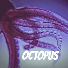 King Krule- Octopus (Instrumental Remix)