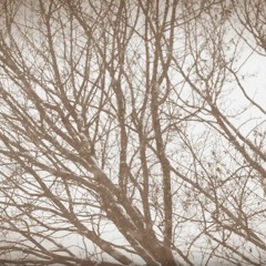 Community Ed. Hon. Mention: "Seasons" - Petteri Hyyppä