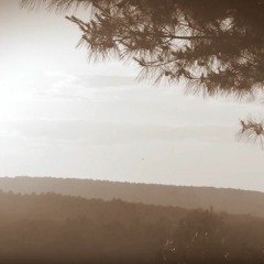 Community Ed. Hon. Mention: "Seasons", Sunday Afternoon - BelaBartaSas