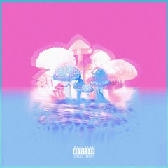 Maintain - Mushroom Seas (feat. Moezuz)[PROD. KAOTIK]