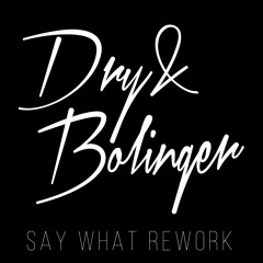 Dry & Bolinger - Say What (Rework)