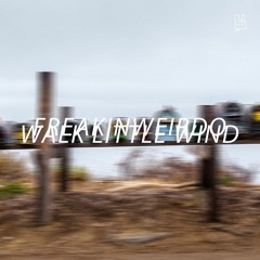 Freakinweirdo - Walk Little Wind [CPSDL004]