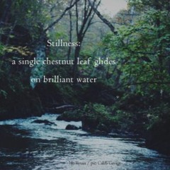 Fallen Leaf 🍁Naviarhaiku168🍁